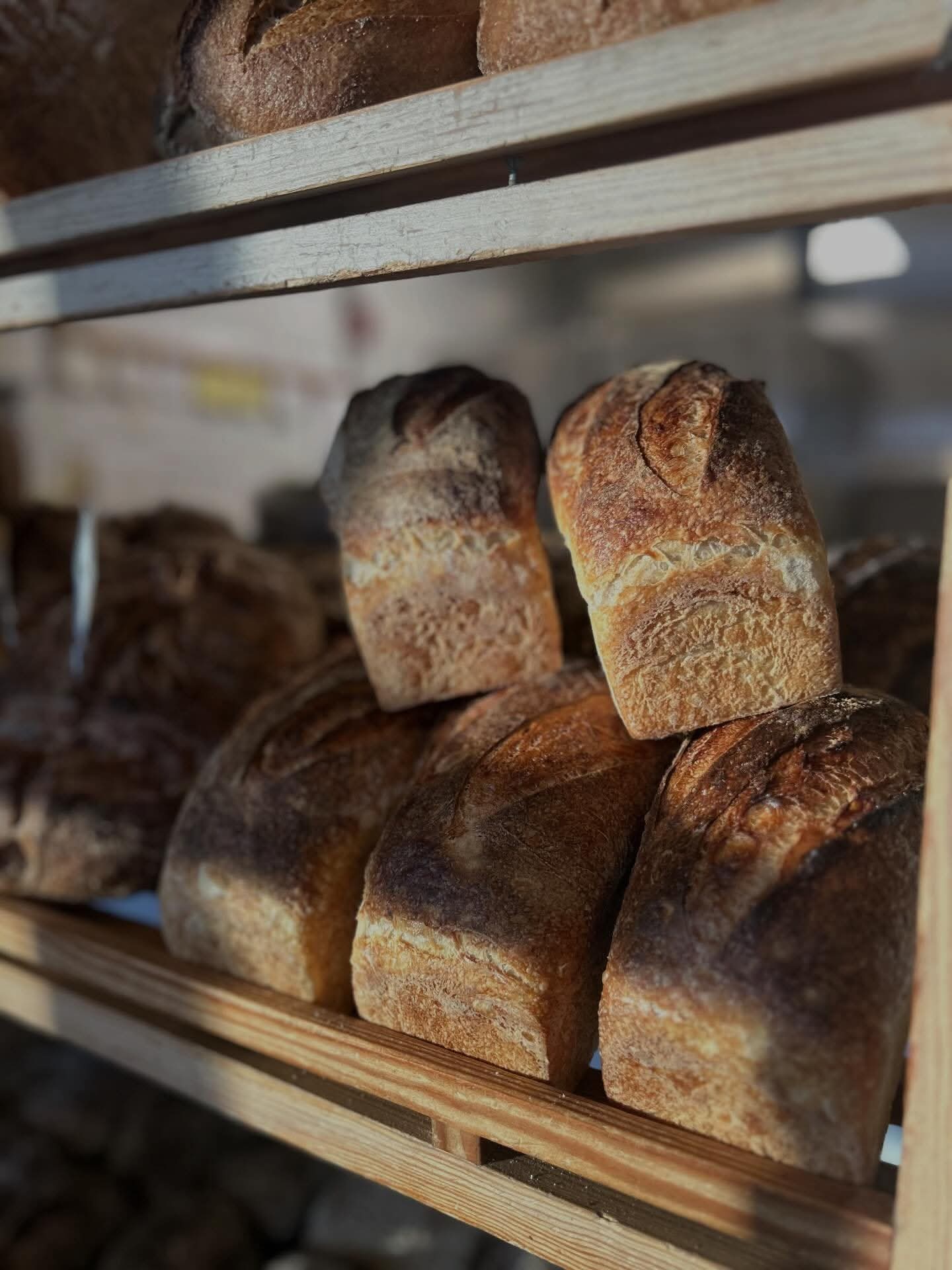 Bröd som svalnar på hyllorna i bageriet