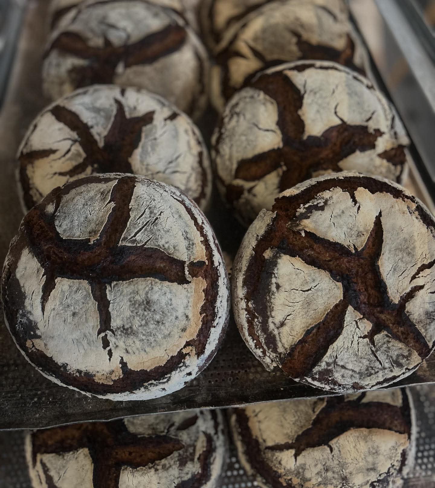 Landbröd snittade och pudrade med rågmjöl